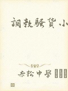 调教骚货小说h封面