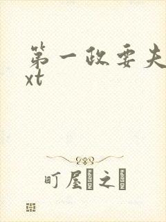 第一政要夫人txt