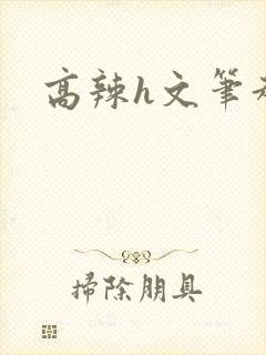 高辣h文笔趣阁封面