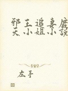 邪王追妻废材逆天小姐小说