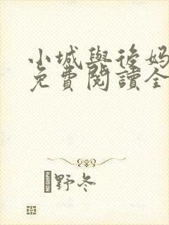 小城与后妈小说免费阅读全文最新章节