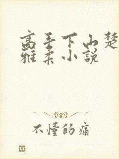 高手下山楚南秦雅柔小说封面