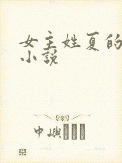 女主姓夏的现代小说