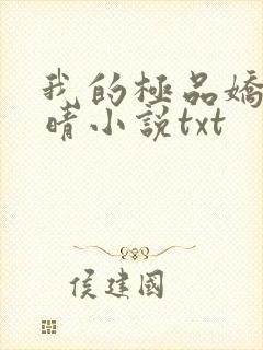 我的极品娇妻许晴小说txt封面