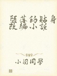 堕落的贴身高手改编小说