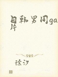 日韩男同gay片封面