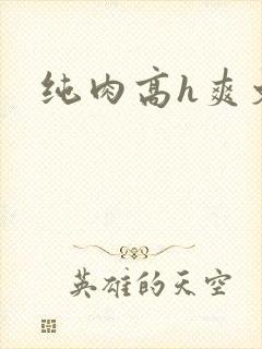 纯肉高h爽文封面