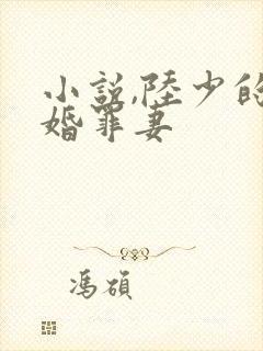 小说,陆少的隐婚罪妻