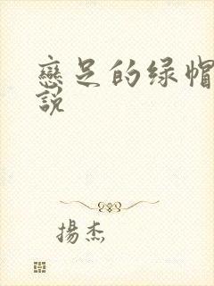 恋足的绿帽奴小说封面