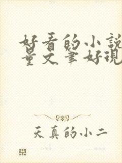 好看的小说高质量文笔好现代封面