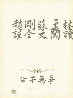 赵刚苏柔林风小说全文阅读