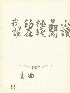 我的极品小姨小说在线阅读全文封面