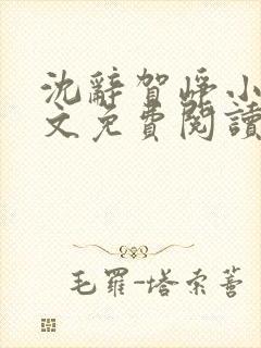 沈辞贺峥小说全文免费阅读