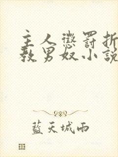 主人惩罚折磨调教男奴小说