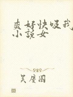 爽好快吸我乳头小说女封面