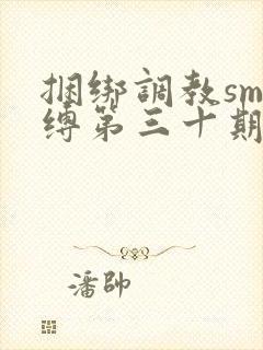 捆绑调教sm束缚第三十期封面