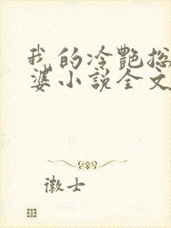 我的冷艳总裁老婆小说全文阅读