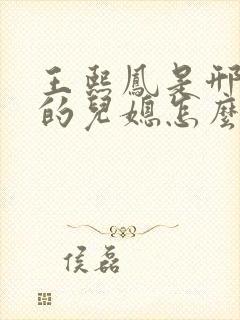 王熙凤是邢夫人的儿媳怎么在王夫人处