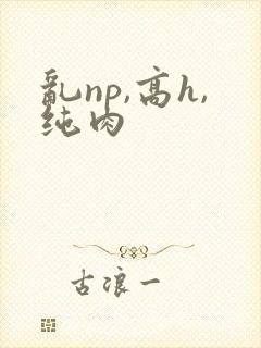 乱np,高h,纯肉