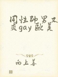 同性帅男又粗又爽gay 欧美