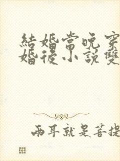 结婚当晚穿到离婚后小说双女主