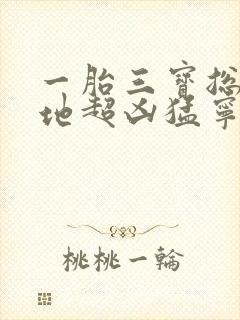 一胎三宝总裁爹地超凶猛宁晚晚封面