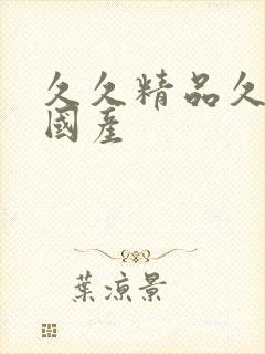 久久精品久久久国产封面