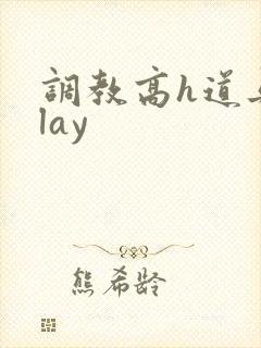 调教高h道具play