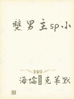 双男主sp小说封面