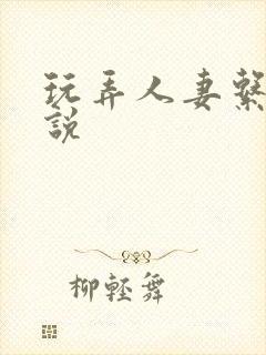 玩弄人妻系列小说封面