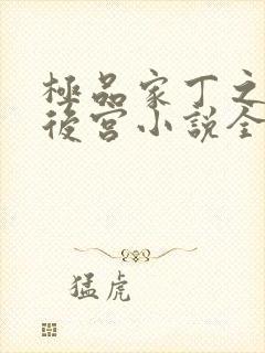 极品家丁之风流后宫小说全文阅读