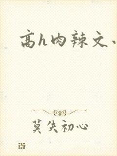 高h肉辣文小说