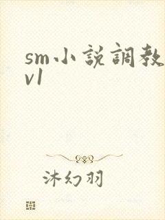 sm小说调教1v1