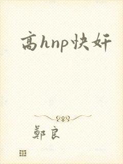 高hnp快奸