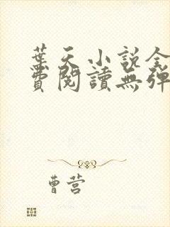 叶天小说全文免费阅读无弹窗封面