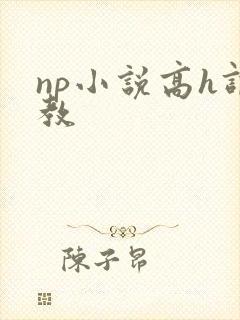 np小说高h调教封面