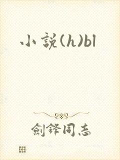 小说(h)bl封面