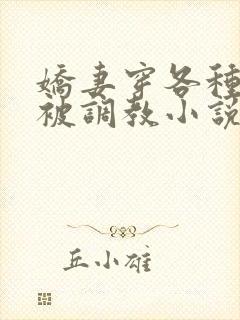 娇妻穿各种丝袜被调教小说封面