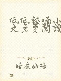 低低轻喃小说全文免费阅读笔趣阁