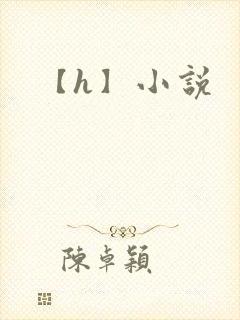 【h】小说