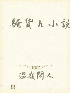 骚货 h 小说封面