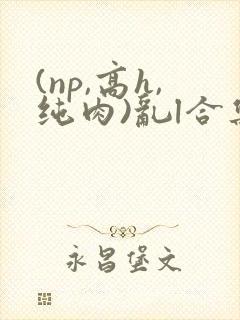 (np,高h,纯肉)乱l合集