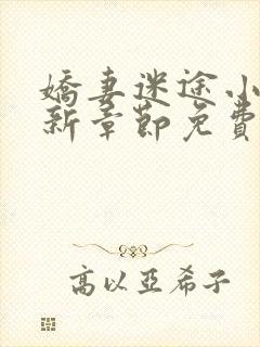 娇妻迷途小说最新章节免费阅读