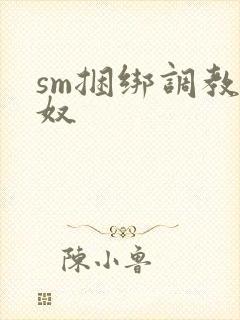 sm捆绑调教男奴