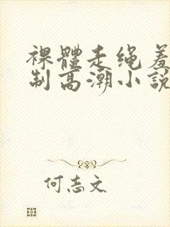 裸体走绳羞辱强制高潮小说