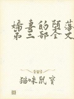 娇妻的堕落沉沦第三部全文