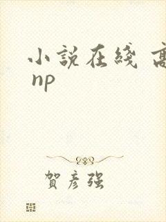 小说在线 高h np