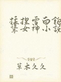 揉捏雪白饱满高耸女神小说