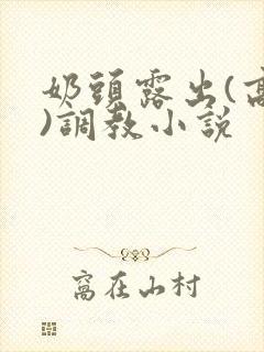 奶头露出(高h)调教小说封面