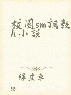 校园sm调教高h小说